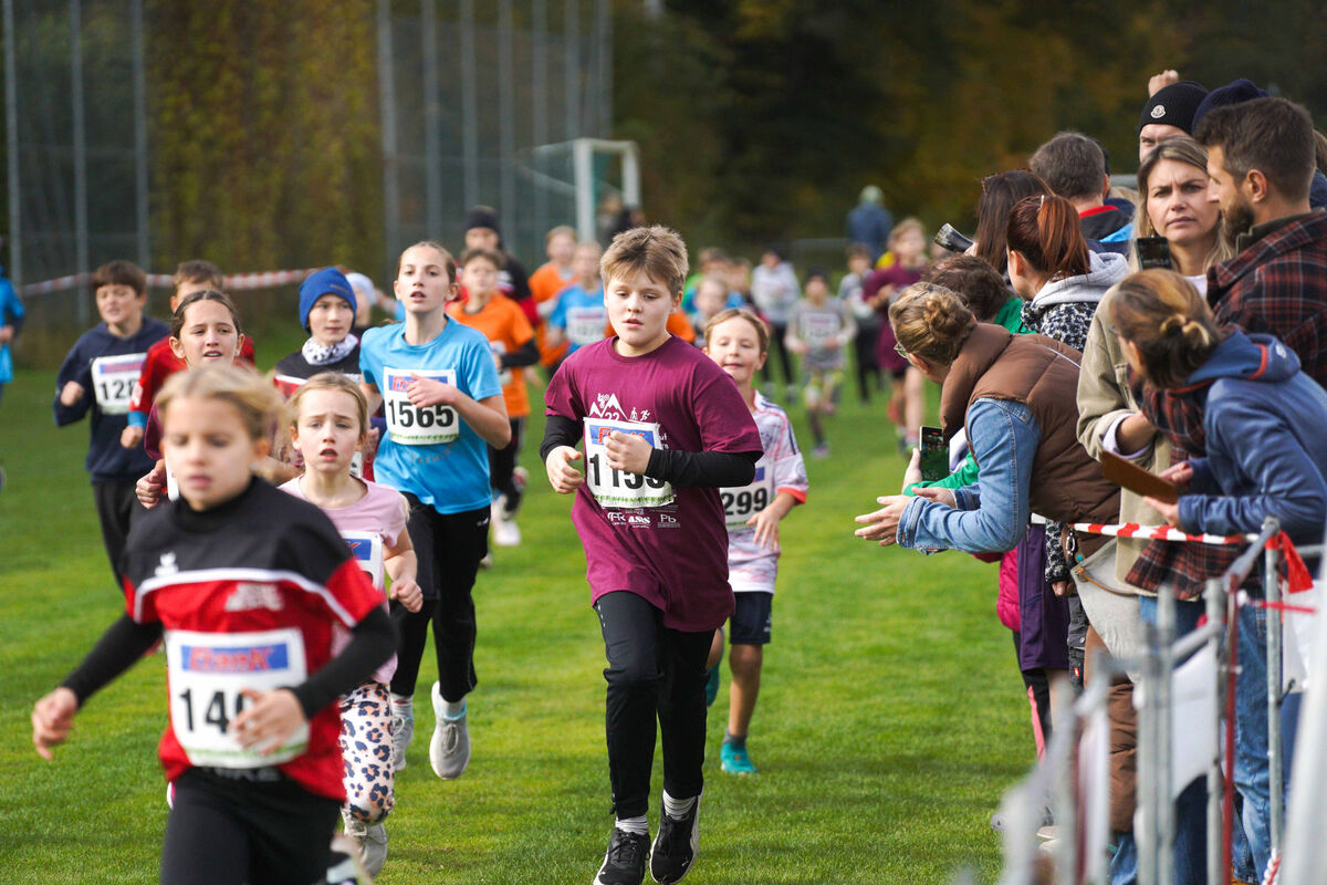 368 - PfLauf_Nachm-256.jpg