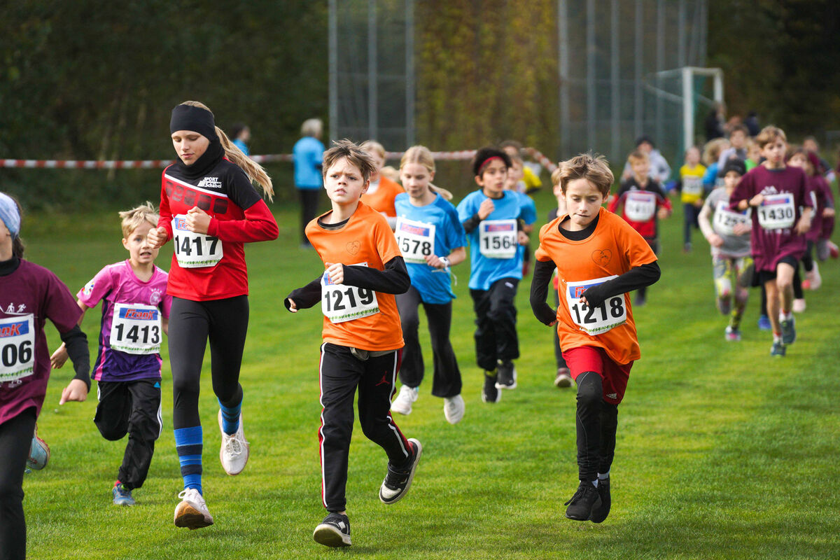 370 - PfLauf_Nachm-258.jpg