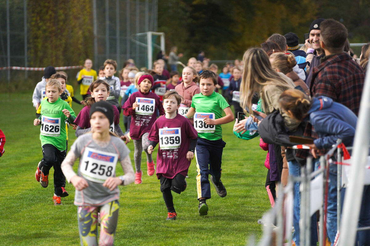 373 - PfLauf_Nachm-261.jpg