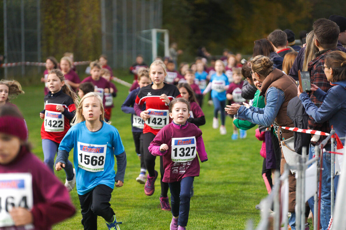 376 - PfLauf_Nachm-264.jpg