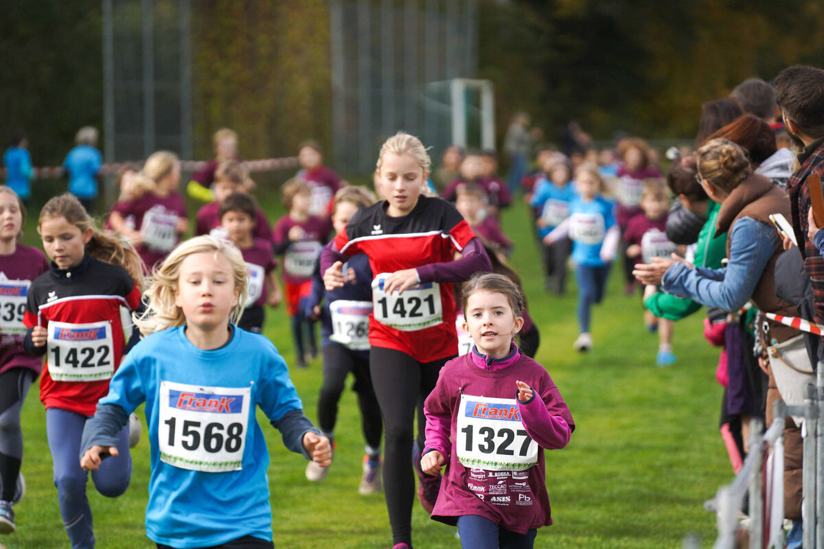 377 - PfLauf_Nachm-265.jpg