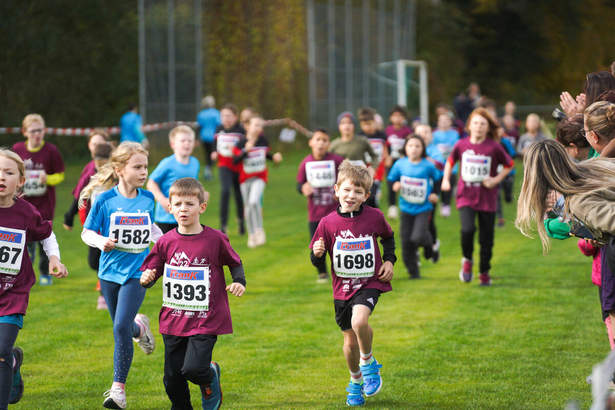 378 - PfLauf_Nachm-266.jpg