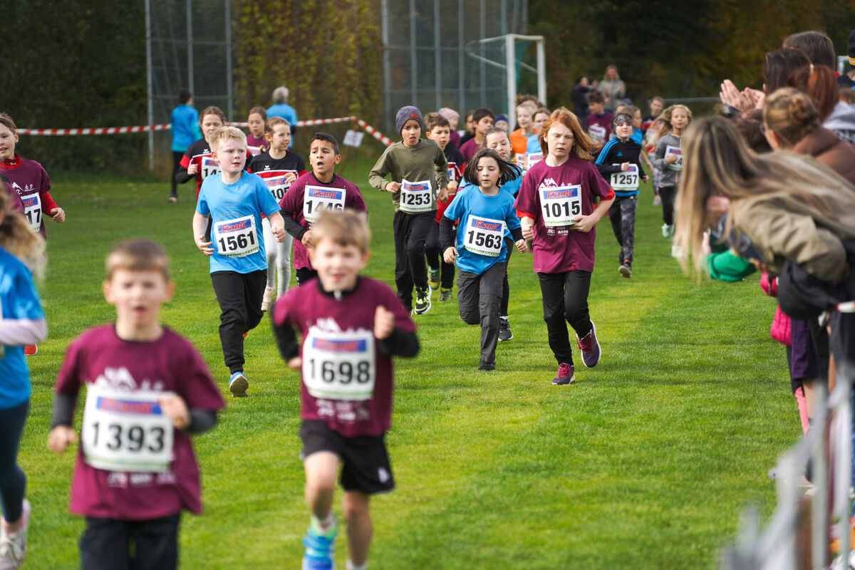 380 - PfLauf_Nachm-268.jpg