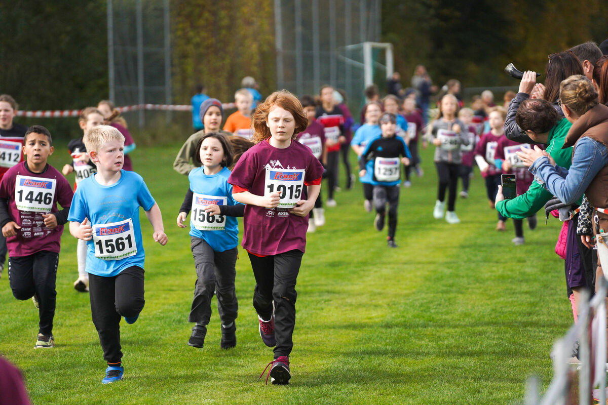 383 - PfLauf_Nachm-271.jpg