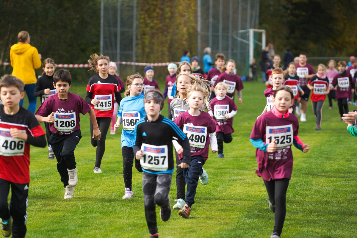 384 - PfLauf_Nachm-272.jpg