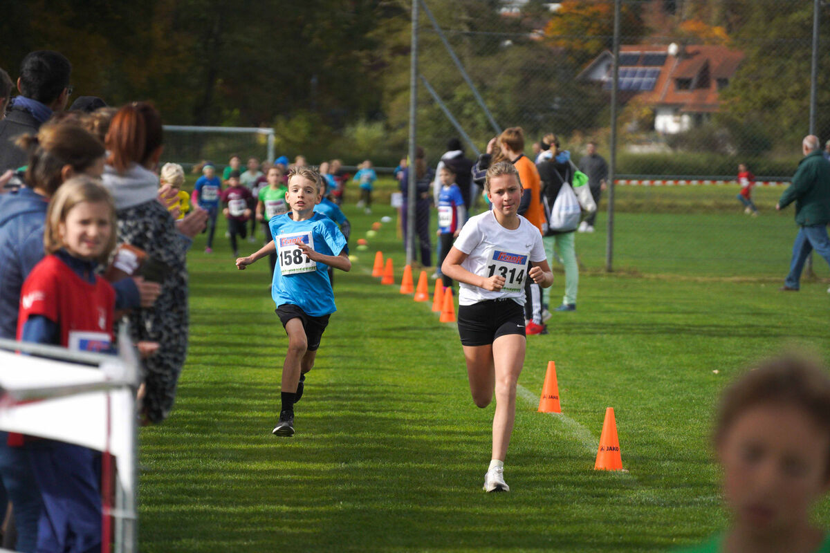 394 - PfLauf_Nachm-282.jpg