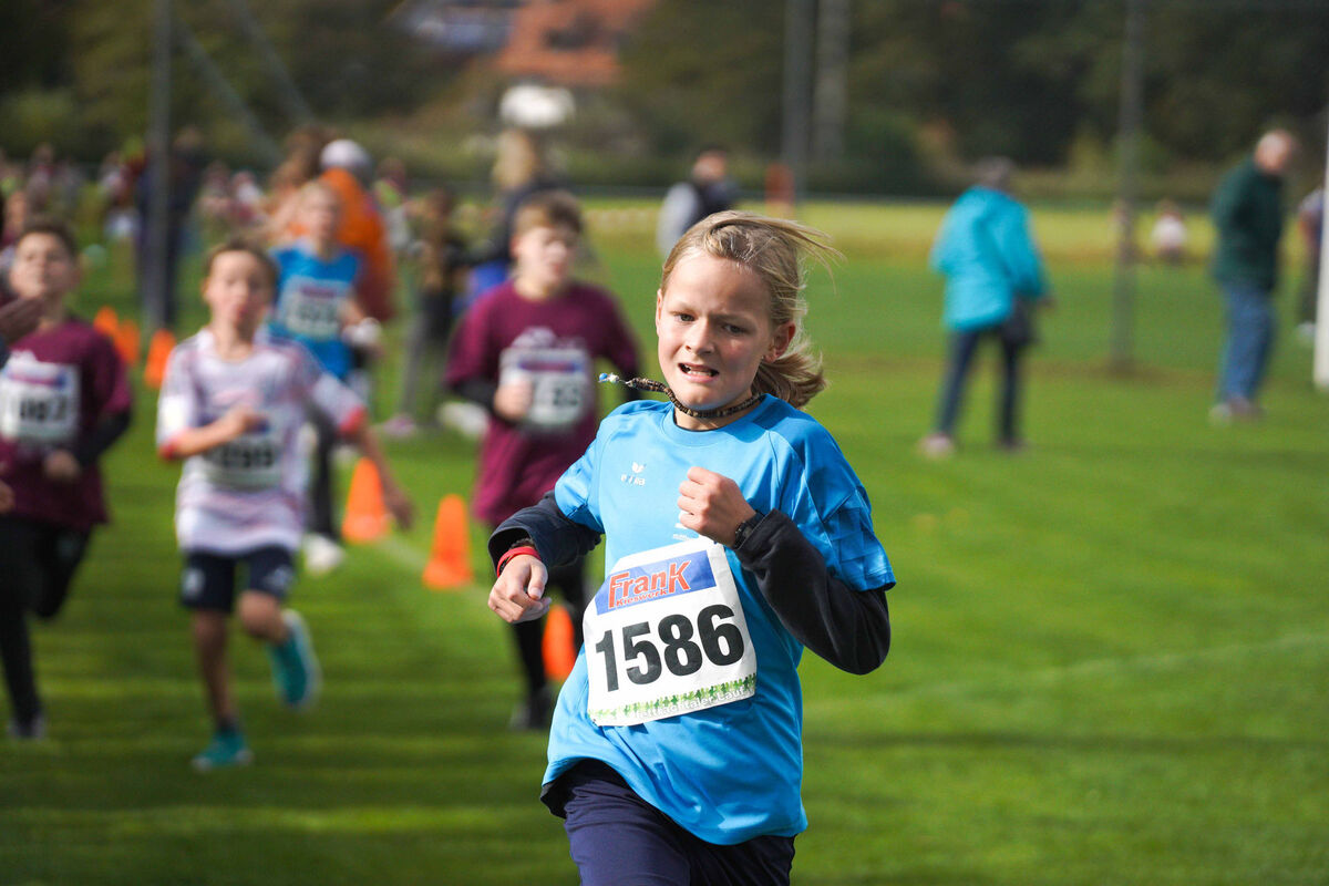 407 - PfLauf_Nachm-295.jpg