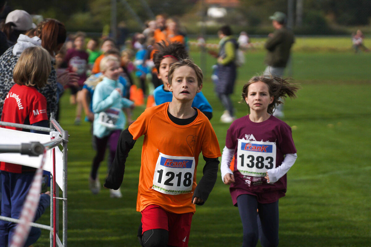 411 - PfLauf_Nachm-299.jpg