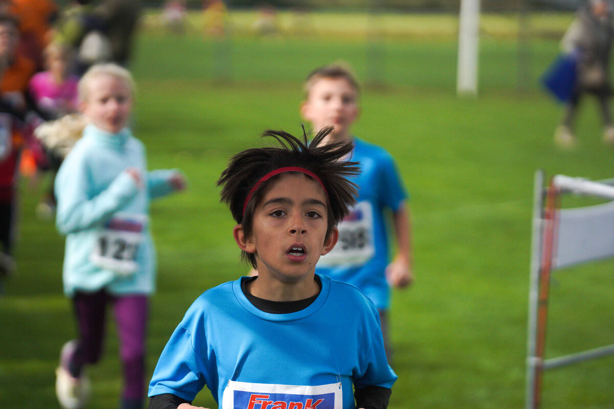 415 - PfLauf_Nachm-303.jpg