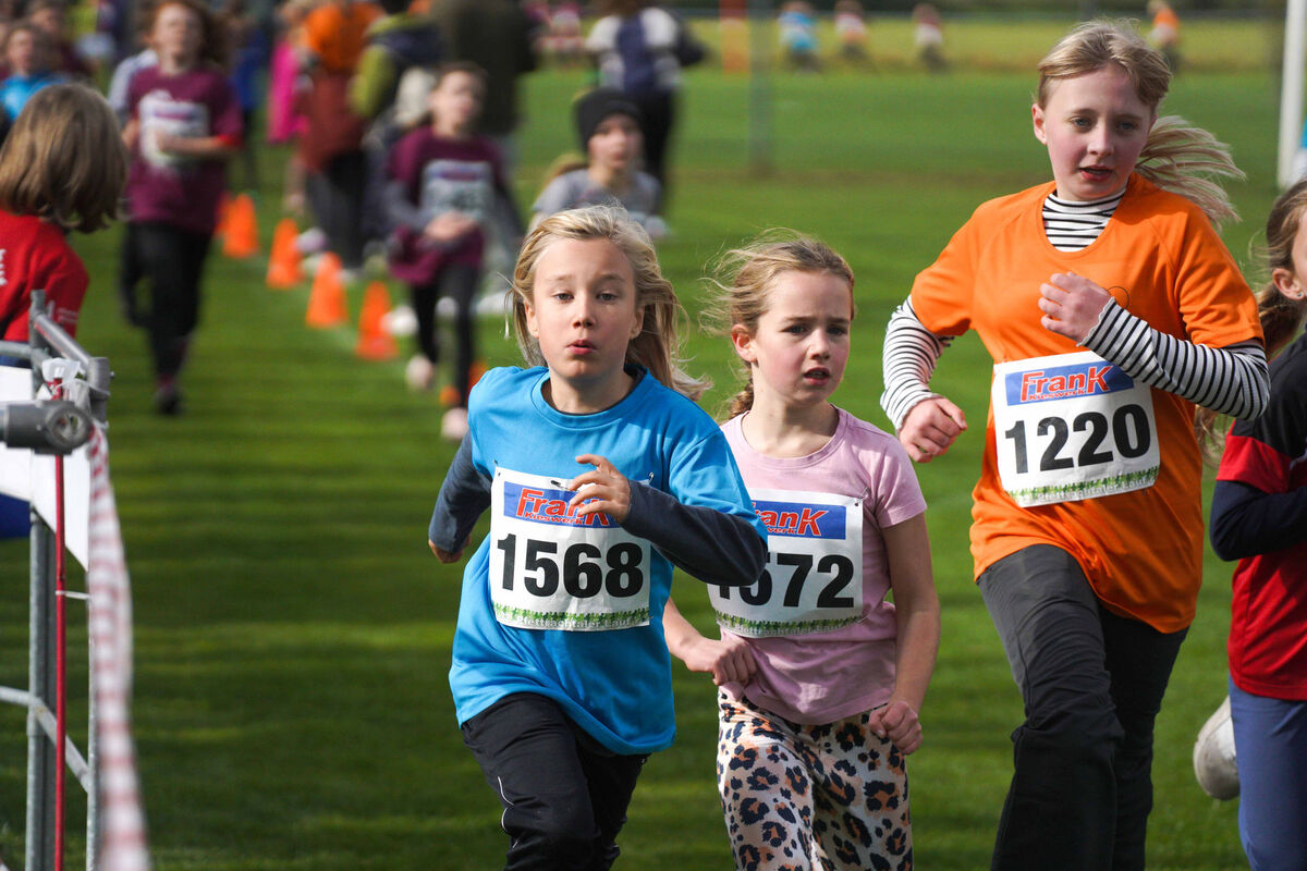 422 - PfLauf_Nachm-310.jpg