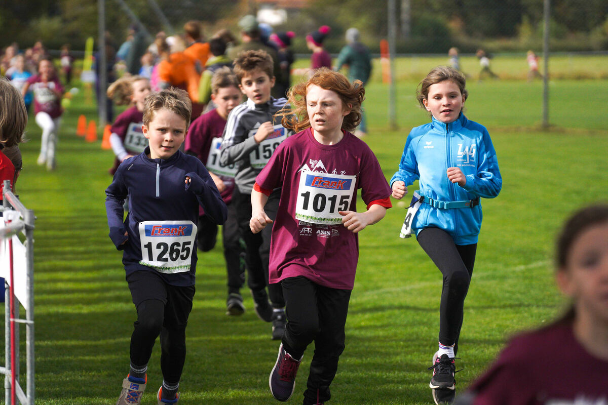 424 - PfLauf_Nachm-312.jpg