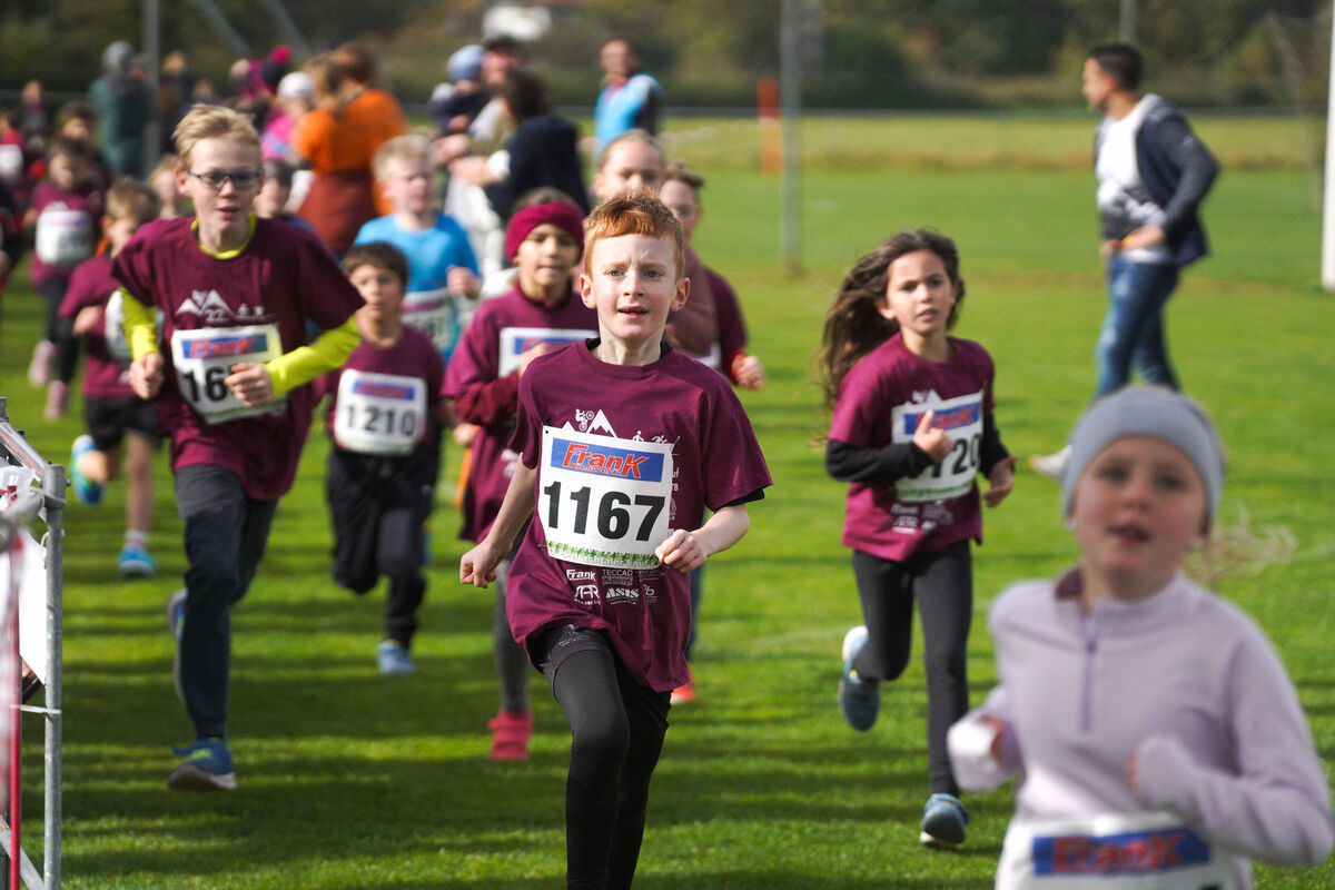 430 - PfLauf_Nachm-318.jpg