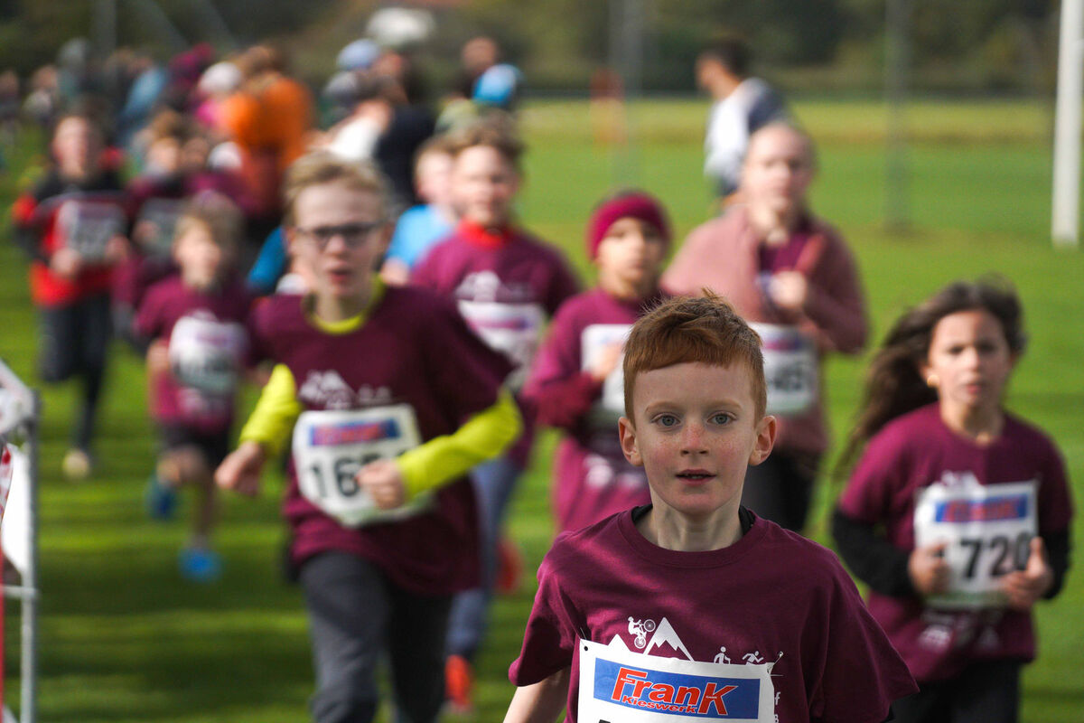 432 - PfLauf_Nachm-320.jpg