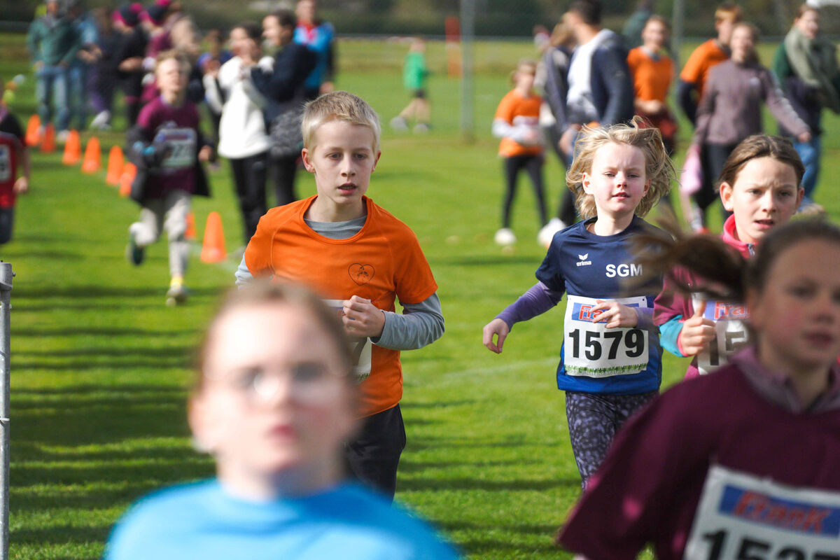 440 - PfLauf_Nachm-328.jpg