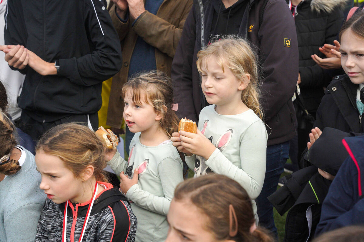 703 - PfLauf_Nachm-591.jpg